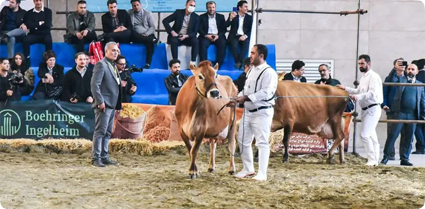 نمایشگاه دام و طیور تهران