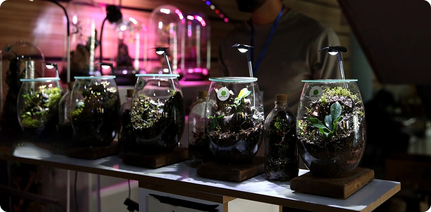Iran flower Plant and Green House Exhibition